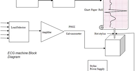 Ecg Porn Videos 